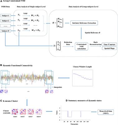 A Novel Constrained Non-negative Matrix Factorization Method for Group Functional Magnetic Resonance Imaging Data Analysis of Adult Attention-Deficit/Hyperactivity Disorder